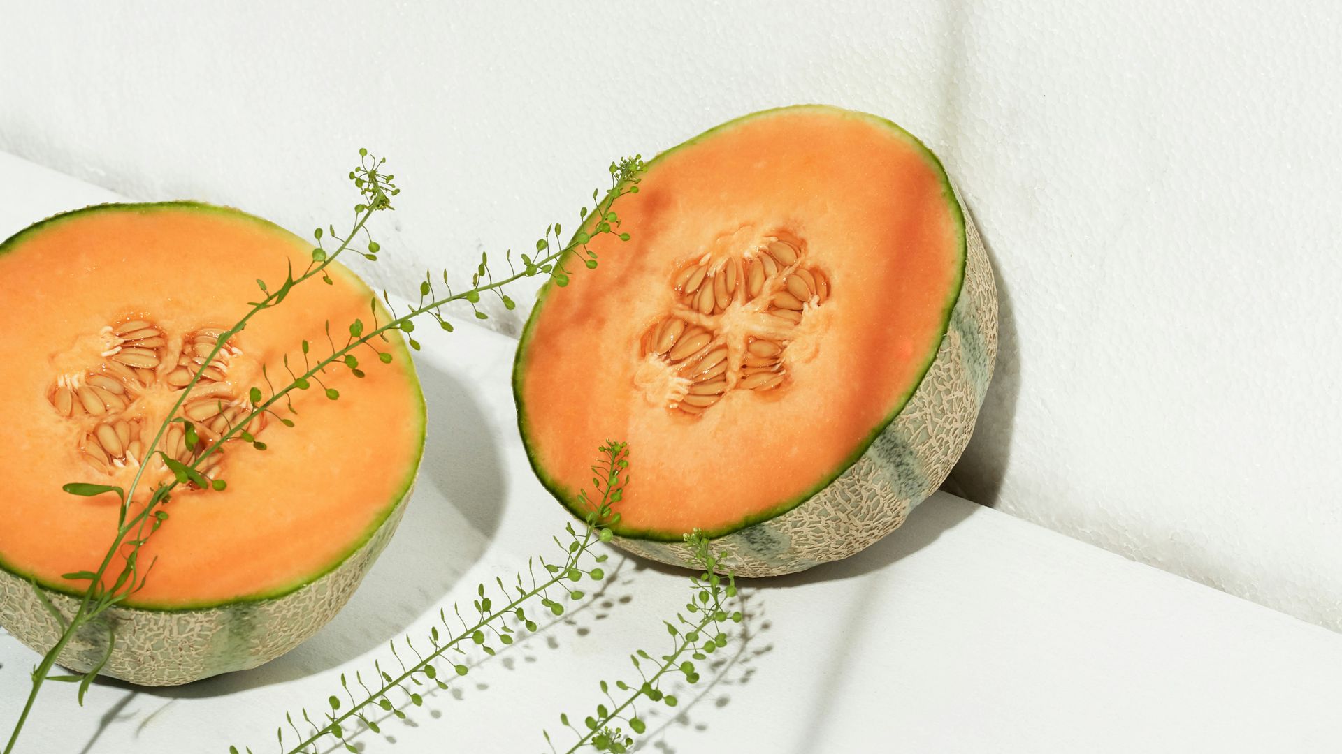 Bild einer Melone