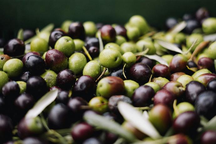 Images d'olives
