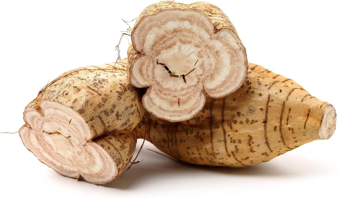 Trois racines de kuzu sur fond blanc