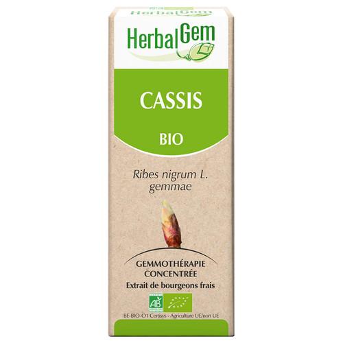 Produit : bourgeon de cassis