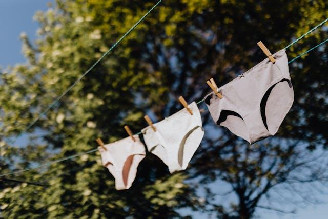 Trois culottes (rose, écru et taupe) accrochées dehors sur un fils à linge avec un arbre en arrière-plan