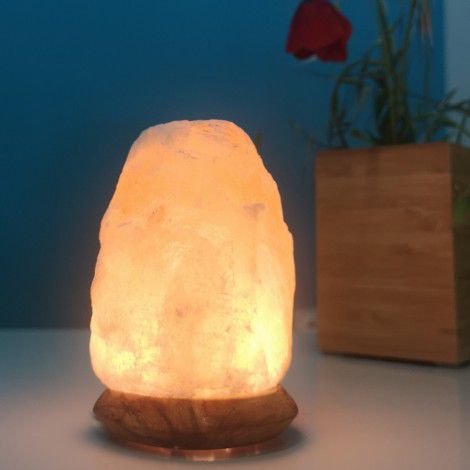 Lampe en cristal de sel allumée avec une plante rouge dans un pot en bois carré en arrière-plan
