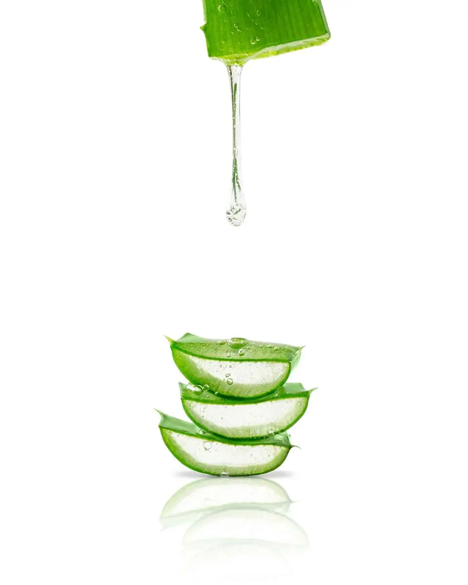 Morceaux d'aloe vera empilés avec jus qui coule d'une tige au-dessus sur fond blanc