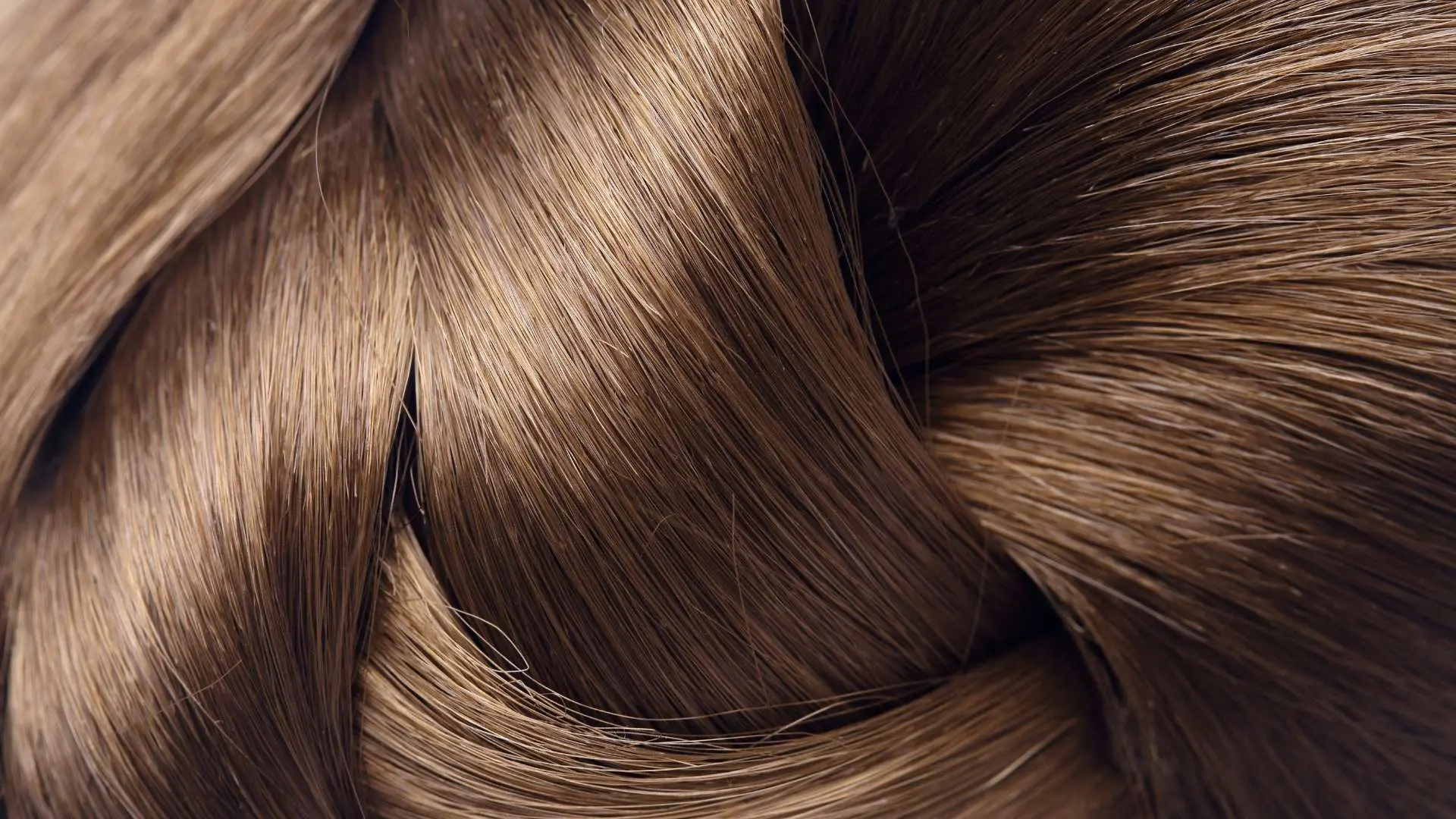 Cheveux châtains brillants