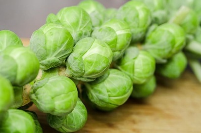 choux de bruxelles