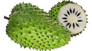 gravila plante lutte contre le cancer