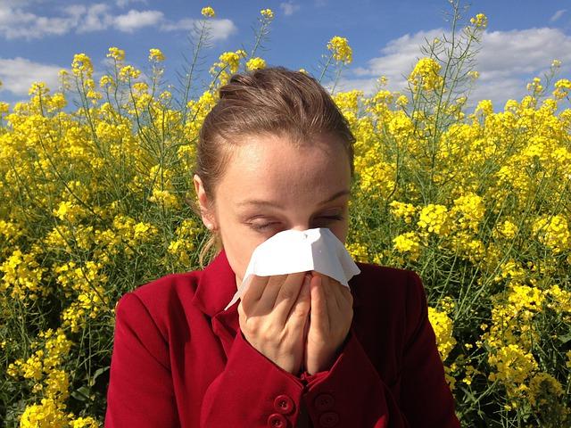 Romarin allergie