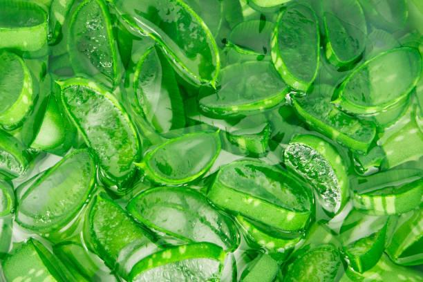 aloe vera
