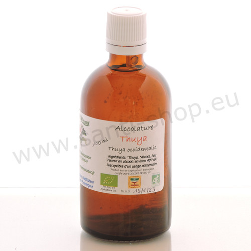 Thuya occidentalis mother tincture - organic