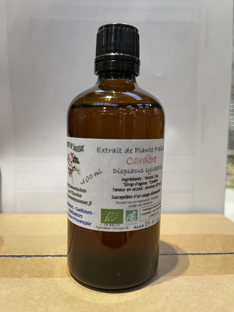 Cardero mother tincture - Organic