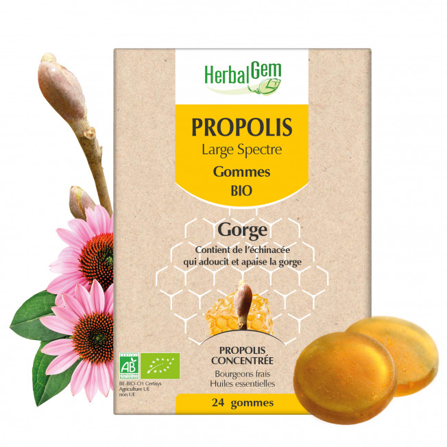 PROPOLIS LARGE SPECTRE - gommes - bio - 24 g