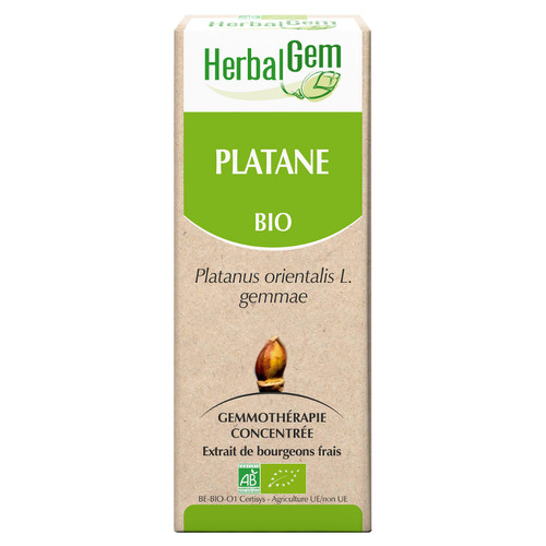Oriental Plane Tree bud extract - organic