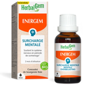 ENERGEM surcharge mentale
