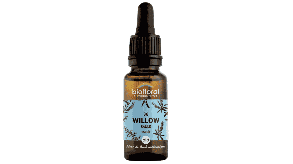 38 Fleur de Bach Willow - Saule bio Demeter