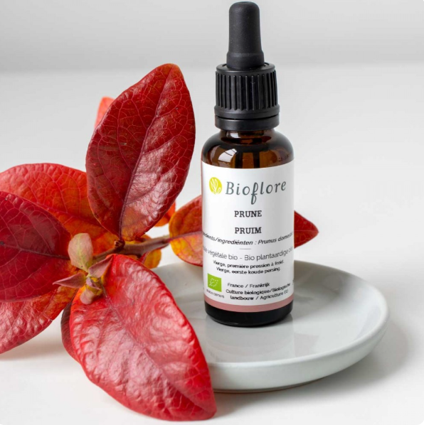Huile végétale de prune bio