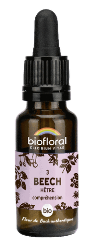 [BI159] Beech - organic - 20 ml