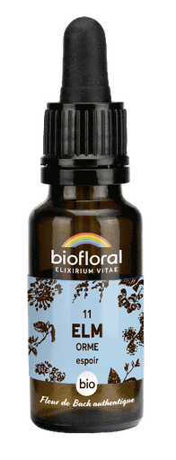 [BI163] 11 - Ulme - Bio - 20 ml