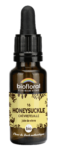 [BI167] 16 - Kamperfoelie - biologisch - 20 ml
