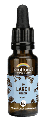 [BI169] 19 - Larch - organic - 20 ml