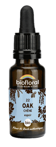[BI172] 22 - Eiche - Bio - 20 ml