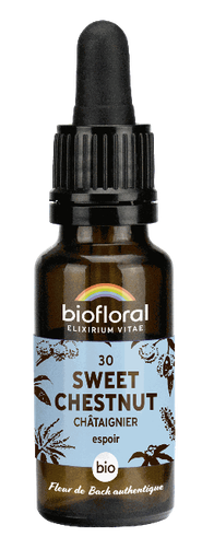 [BI179] 30 - Châtaignier - bio - 20 ml