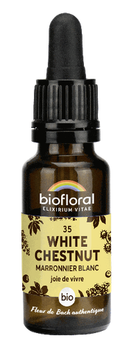 [BI184] 35 - Weiße Kastanie - Bio - 20 ml