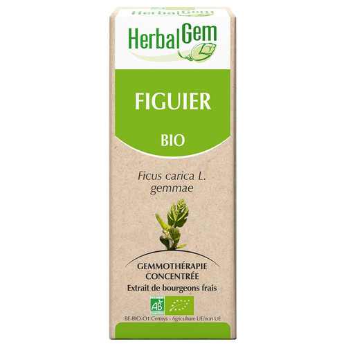 [HE331] Feigenbaum Glycerinmazerat - bio
