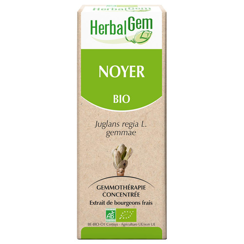 [HE350] Walnussbaum Glycerinmazerat - bio