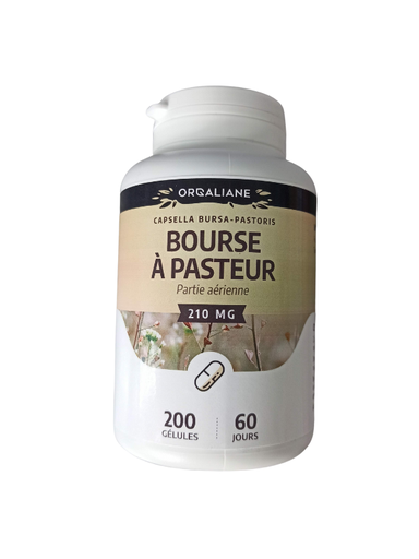 [GH043] Bourse à Pasteur